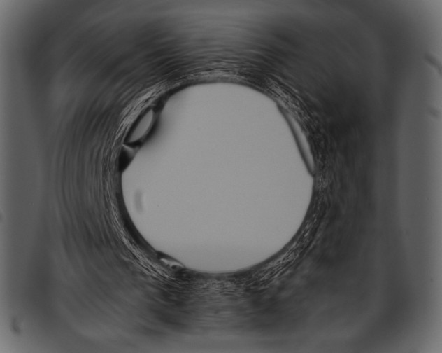 X0000097460193200803201434