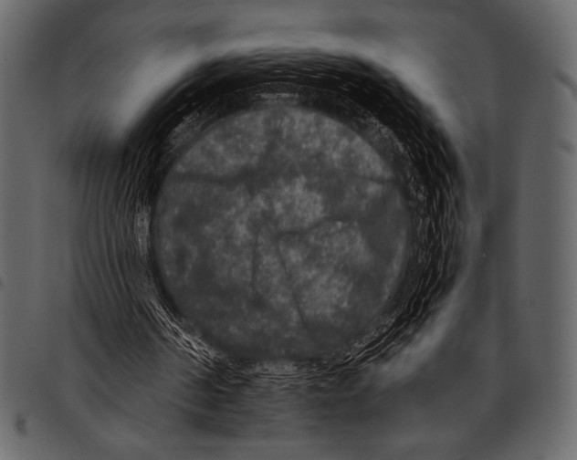 X0000097460194200803201434