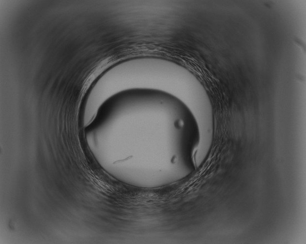 X0000097460195200803201434