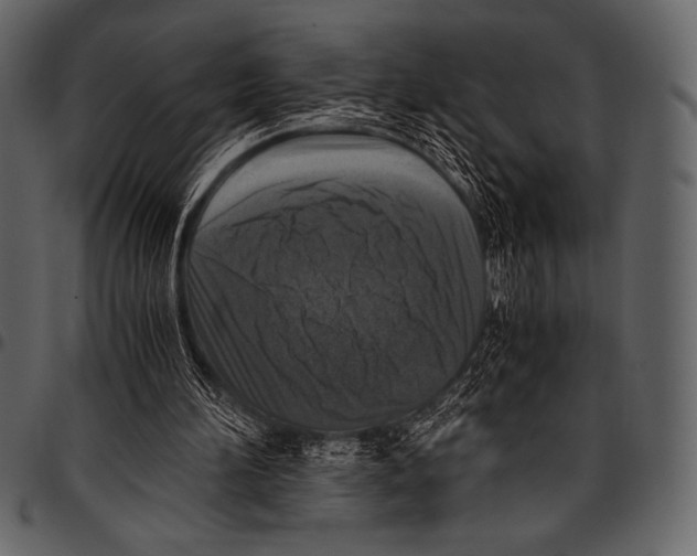 X0000097460196200803201434