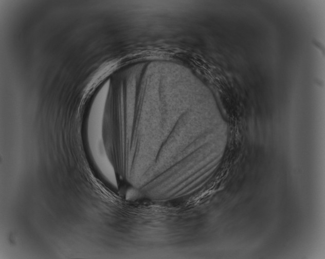 X0000097460197200803201434