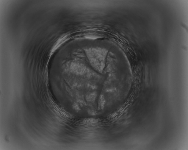 X0000097460198200803201434