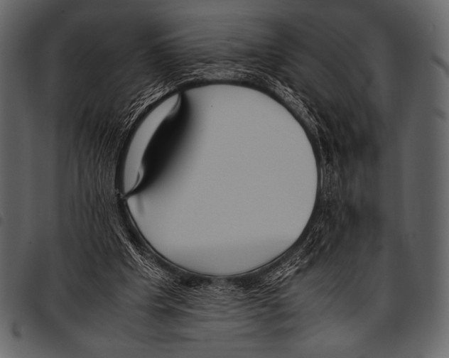 X0000097460201200803201433