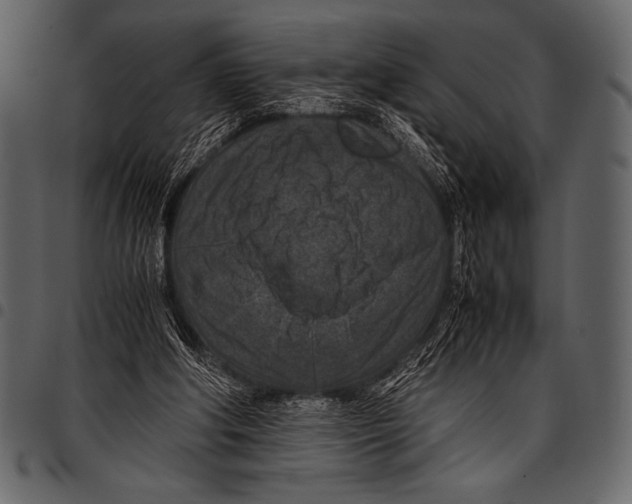 X0000097460202200803201433