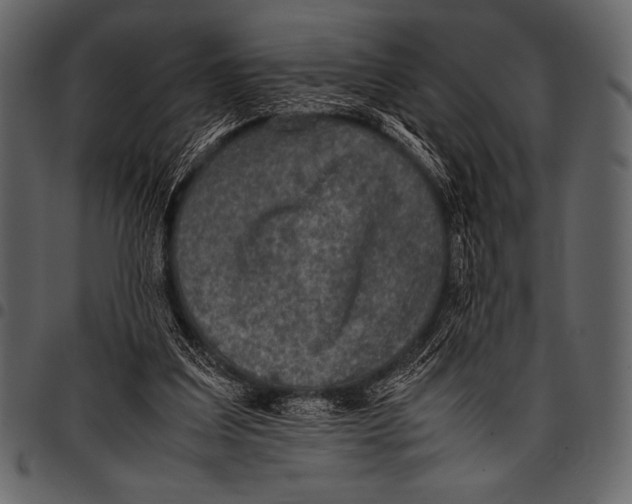 X0000097460203200803201433