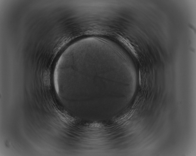 X0000097460204200803201433