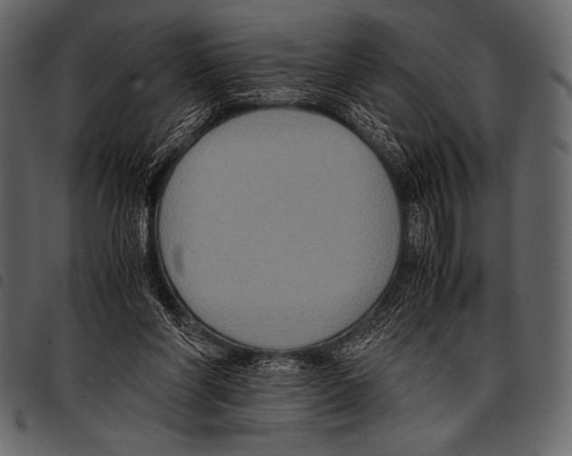 X0000097460206200803201433