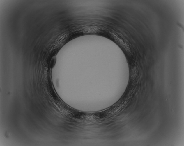 X0000097460209200803201433