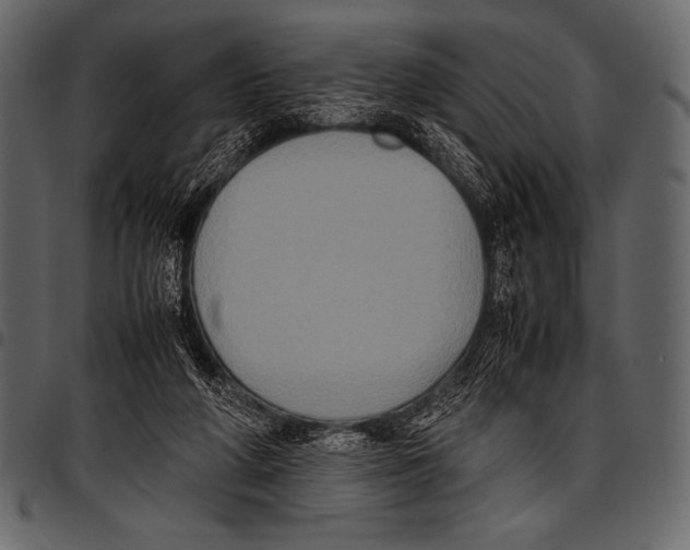 X0000097460210200803201433