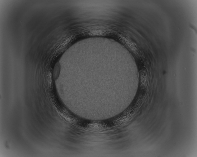 X0000097460211200803201433