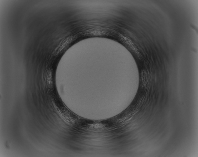 X0000097460212200803201433