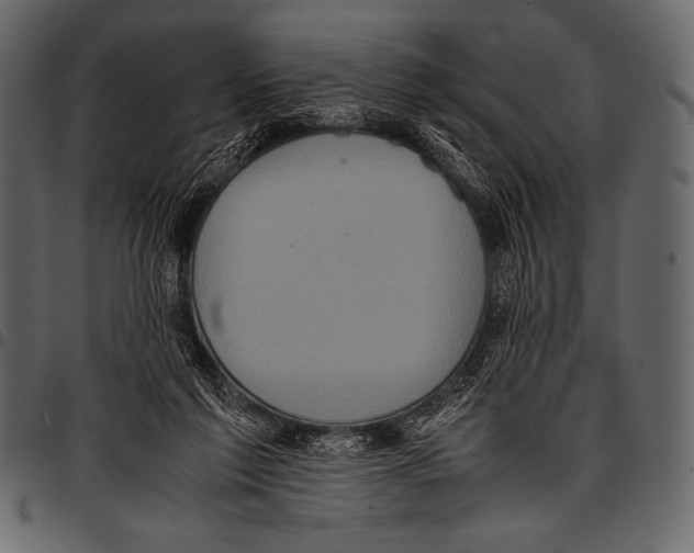 X0000097460213200803201433