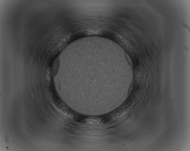 X0000097460215200803201433