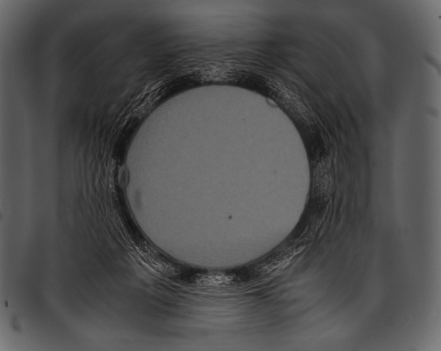 X0000097460217200803201433