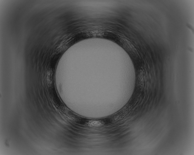 X0000097460218200803201433