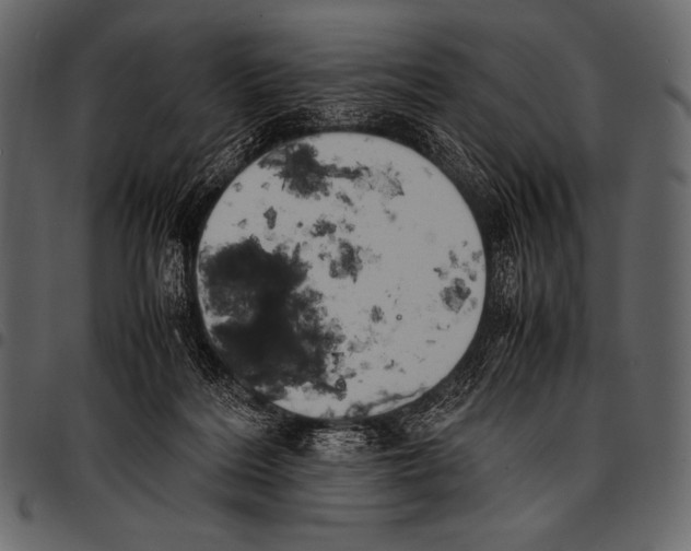 X0000097460220200803201433