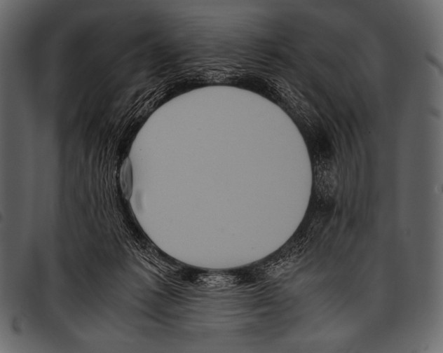 X0000097460221200803201433