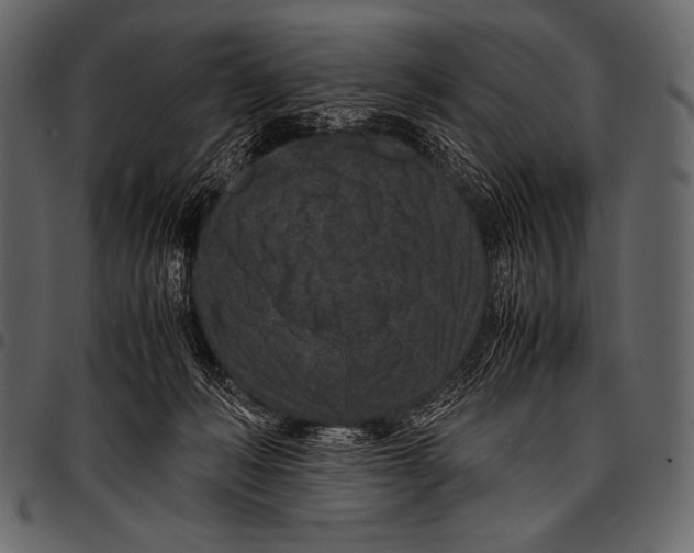 X0000097460222200803201433