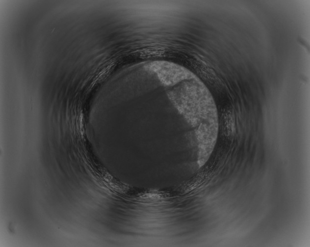 X0000097460224200803201433