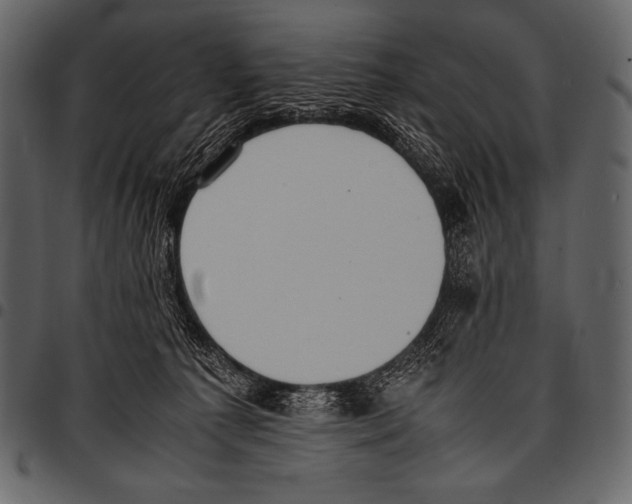 X0000097460225200803201433