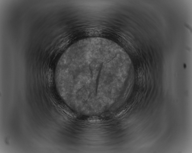 X0000097460228200803201433