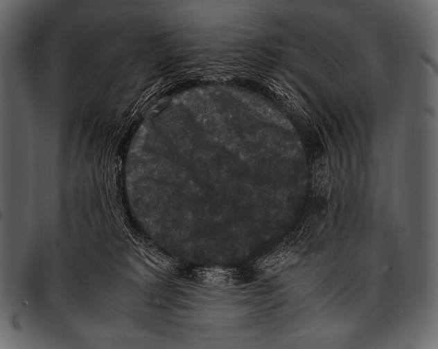 X0000097460229200803201433