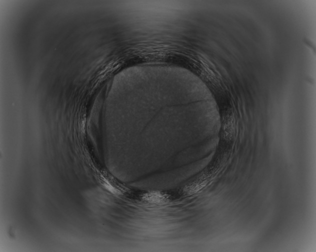 X0000097460231200803201433