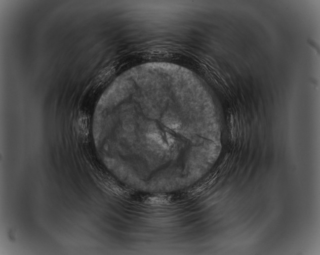 X0000097460232200803201433