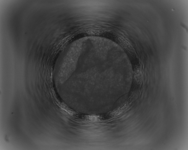 X0000097460233200803201433