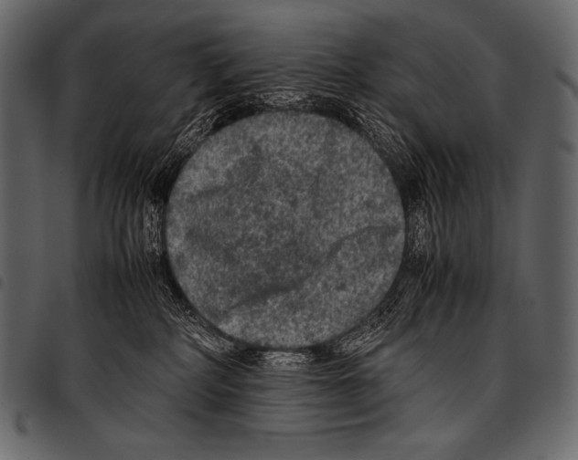 X0000097460234200803201433