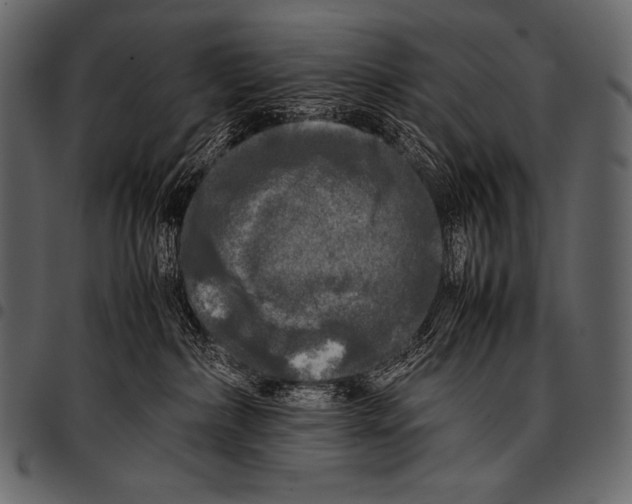 X0000097460236200803201433