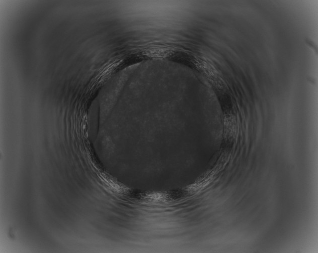 X0000097460237200803201433