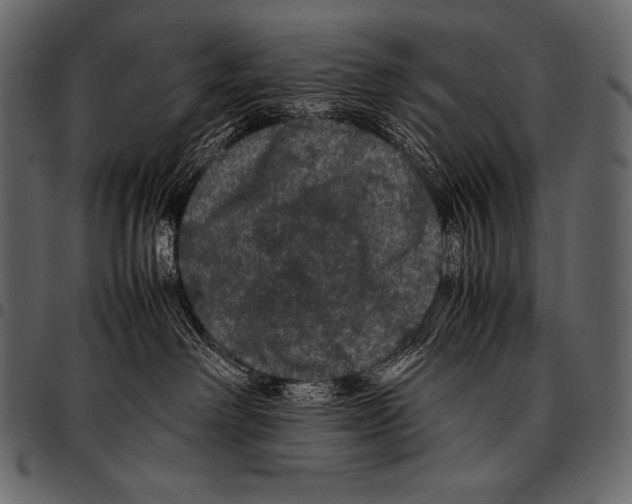 X0000097460238200803201433