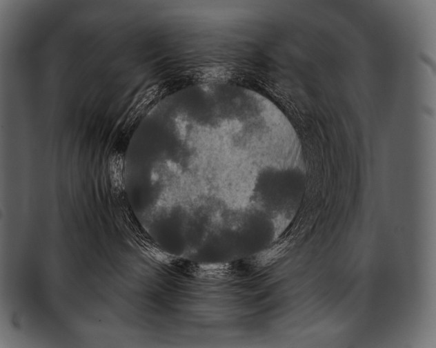 X0000097460240200803201433