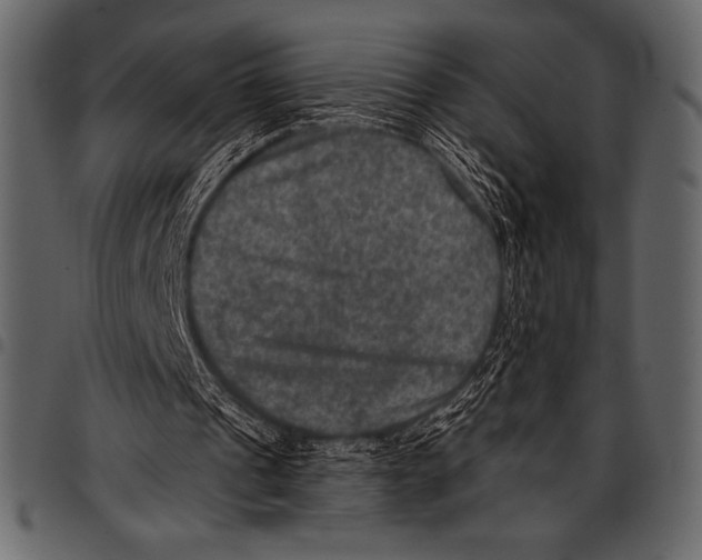 X0000097460241200803201432