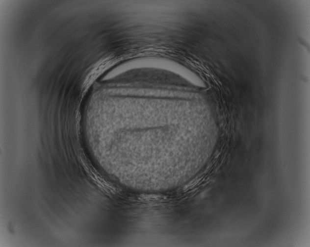 X0000097460242200803201432