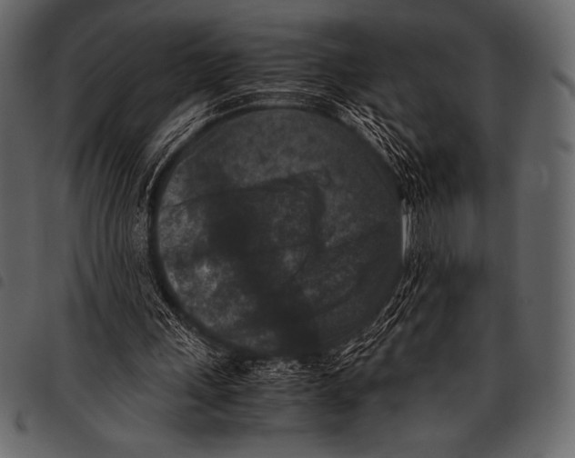 X0000097460243200803201432