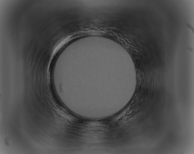 X0000097460246200803201432