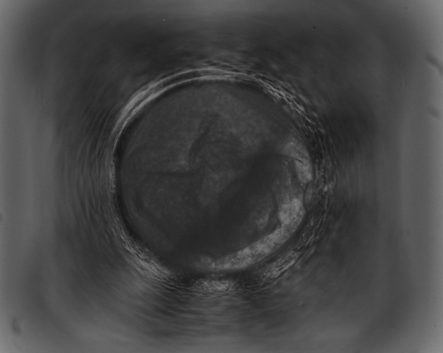 X0000097460247200803201432