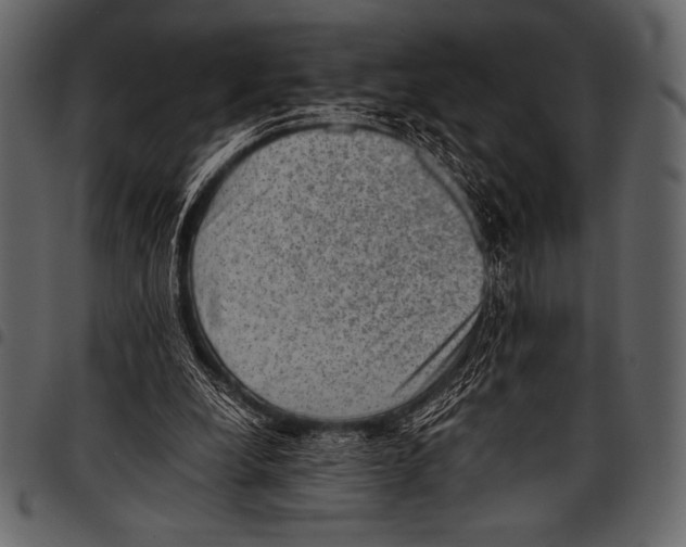 X0000097460248200803201432