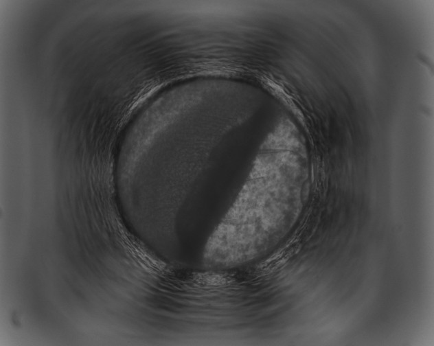 X0000097460249200803201432