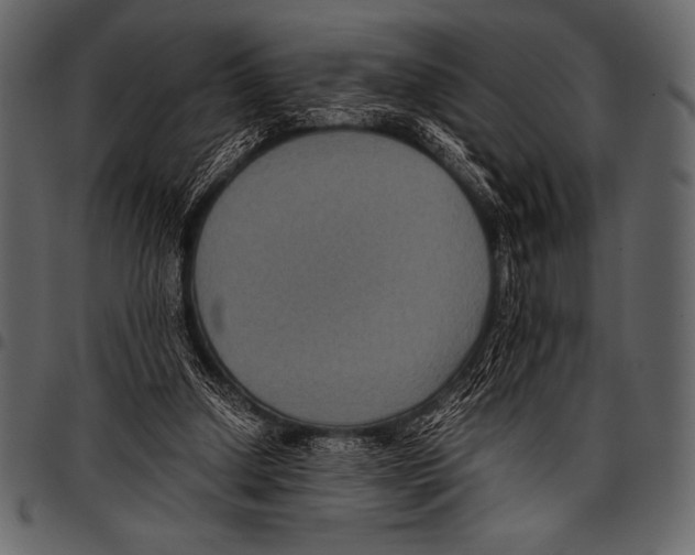 X0000097460250200803201432