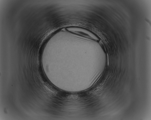 X0000097460252200803201432