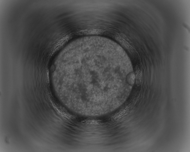 X0000097460254200803201432