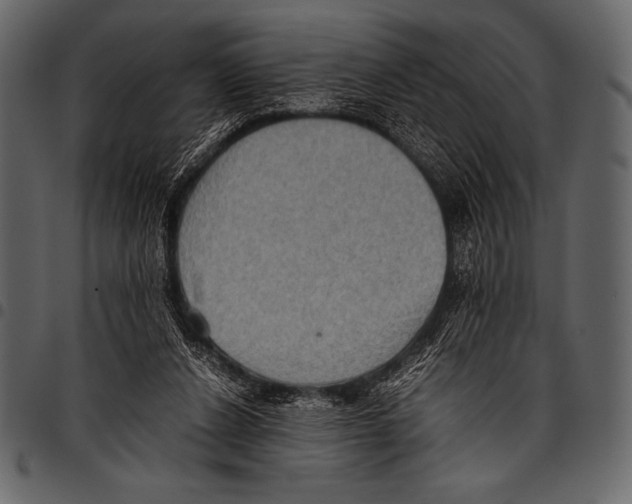 X0000097460256200803201432