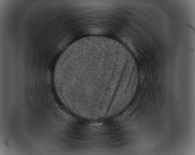 X0000097460257200803201432