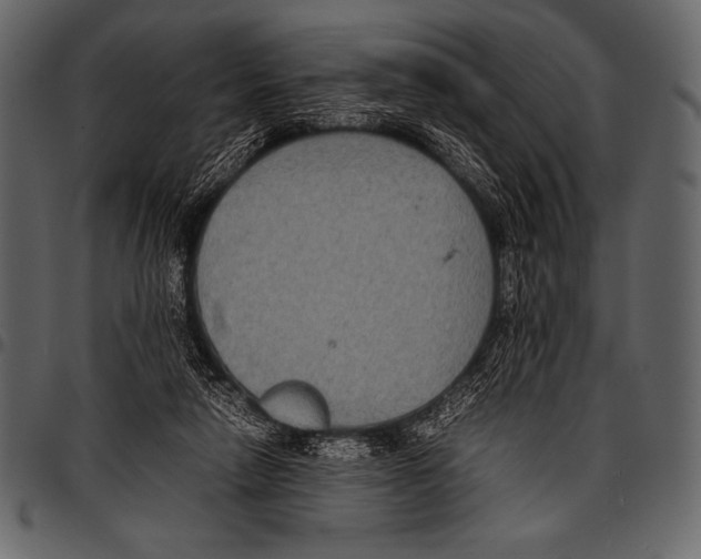 X0000097460258200803201432