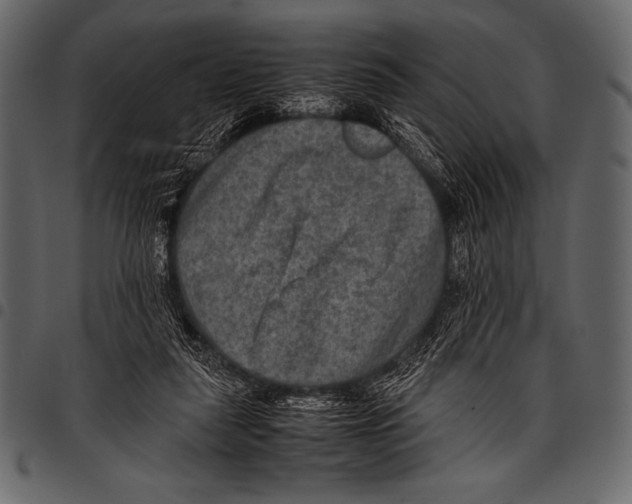 X0000097460259200803201433