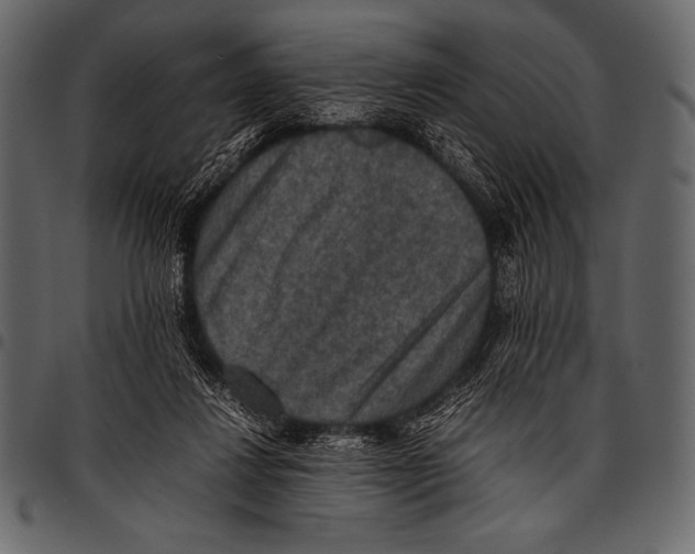 X0000097460260200803201433