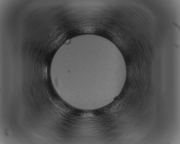 X0000097460262200803201433